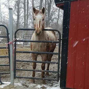 Meet your Posher, Chloe